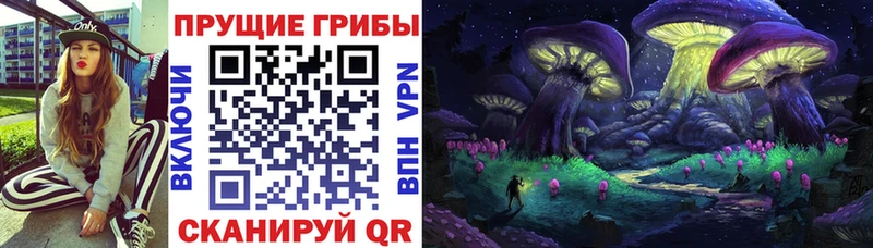 Галлюциногенные грибы Magic Shrooms  нарко площадка официальный сайт  Бологое 